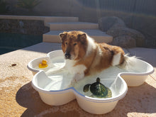 2 QTY Bone Pool™️and 1 QTY Paw Pool™️ Package by One Dog One Bone™️