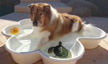 The Paw Pool by One Dog One Bone