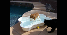5 QTY Bone Pool™️ Package by One Dog One Bone™️