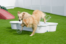 1 QTY Bone Pool™️and 1 QTY Paw Pool™️ Package by One Dog One Bone™️