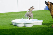 Paw Pool™ by One Dog One Bone™️