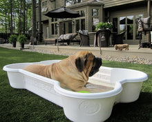 3 QTY Bone Pool™️ and 1 QTY Paw Pool™️ Package by One Dog One Bone™️