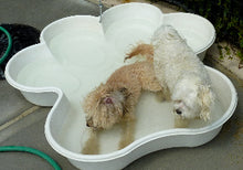 3 QTY Bone Pool™️ and 1 QTY Paw Pool™️ Package by One Dog One Bone™️